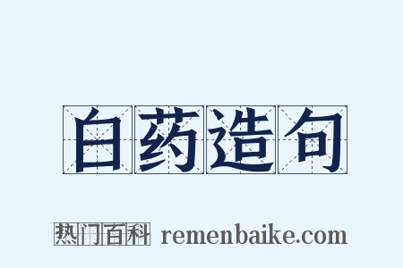 白药造句是什么意思的图片